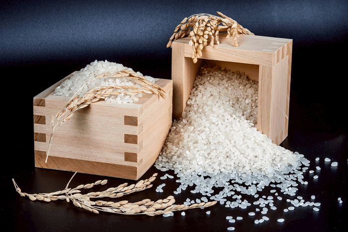 結亭で使用される南魚沼産コシヒカリ