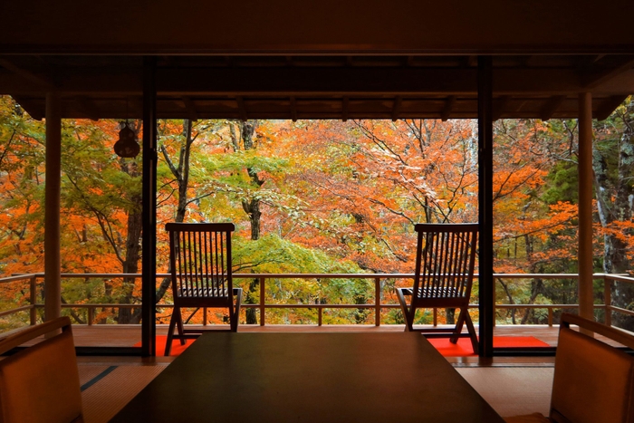 客室からの紅葉