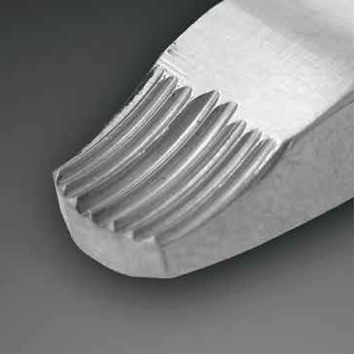 メディザウルス先端部