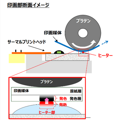 印画部断面イメージ