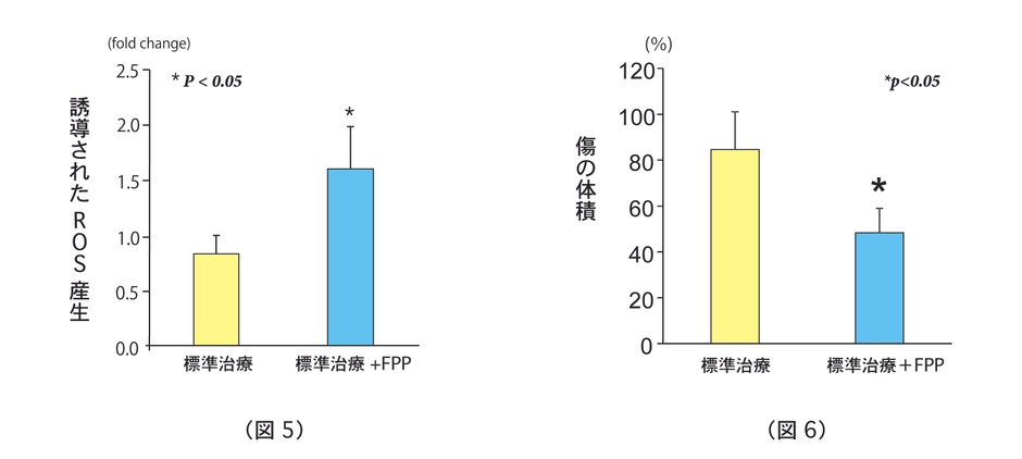 (図5)FPP摂取によるROS産生の誘導 (図6)FPP摂取によるヒト慢性創傷の治癒促進