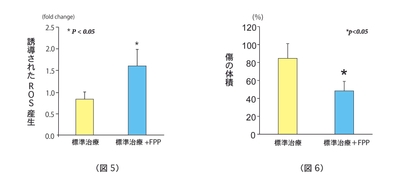 (図5)FPP摂取によるROS産生の誘導 (図6)FPP摂取によるヒト慢性創傷の治癒促進