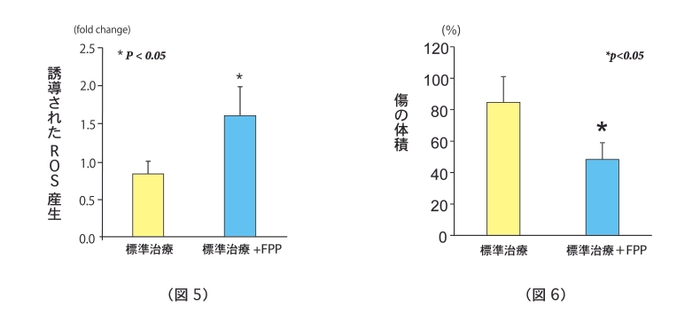 (図5)FPP摂取によるROS産生の誘導 (図6)FPP摂取によるヒト慢性創傷の治癒促進