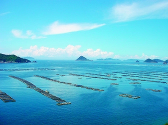 水産王国の魅力を発信！ 海の祭典「トトタベローネうわじま～えひめの海は、おいしいぞ～」 　10月14日(土)から2日間、宇和島市内で開催