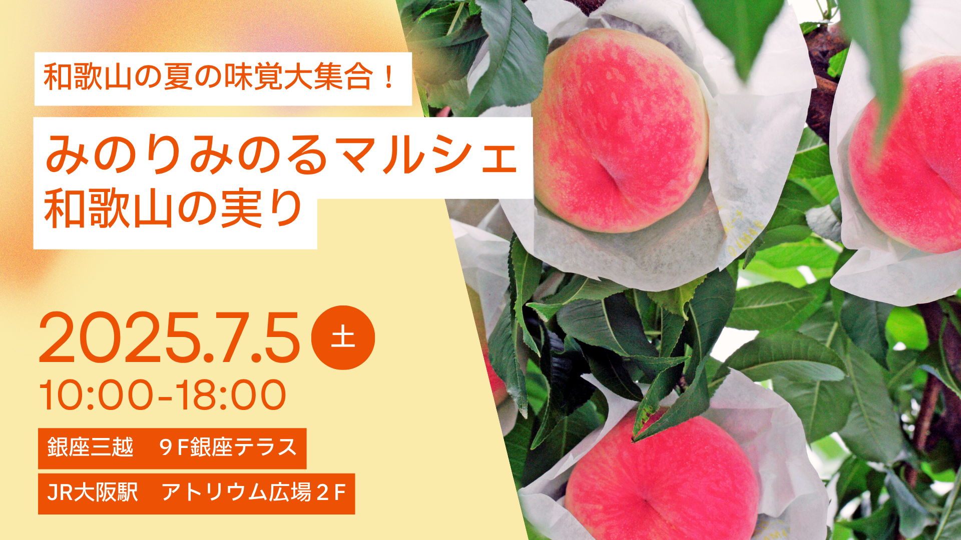 果樹王国和歌山県から旬の味覚をお届け！ 東京・大阪でみのりみのるマルシェ「和歌山の実り」を７月５日に開催