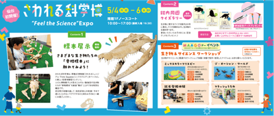 さわれる科学博_イベント詳細