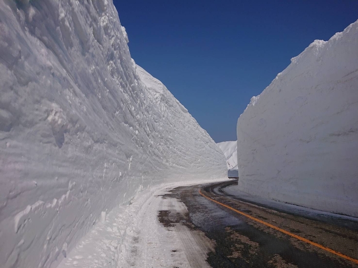 4月15日　雪の大谷