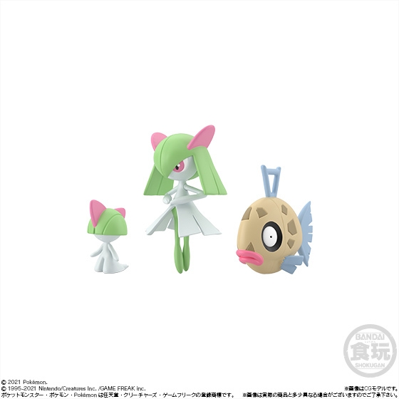 ポケモンスケールワールド ホウエン地方2 (4)
