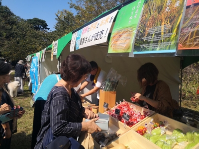 お客様にも好評の販売会