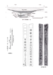 [プレスリリース]「倭歌」木簡の評価と展示について