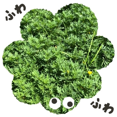 ふわふわ