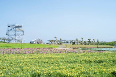 ～第39回都市公園等コンクール～ 「長井海の手公園（ソレイユの丘）」が 『都市公園制度制定150周年記念部門』で 国土交通大臣賞を受賞。 同じく、ランドフローラが手掛ける 緑地広場「シモキタのはら広場」が 『設計部門』で会長賞を受賞。