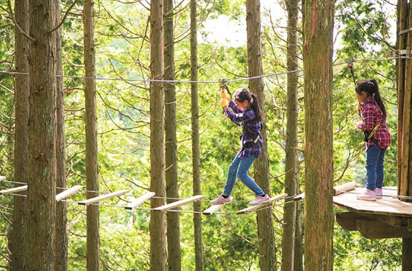 フォレストアドベンチャー・神戸六甲山