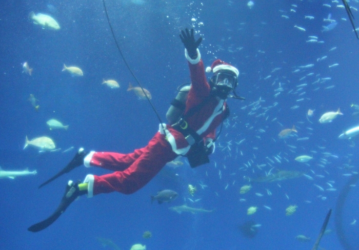 『サンタダイバーがやってくる!』 ※画像はイメージです。