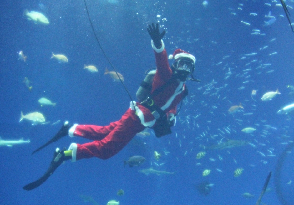 『サンタダイバーがやってくる!』 ※画像はイメージです。