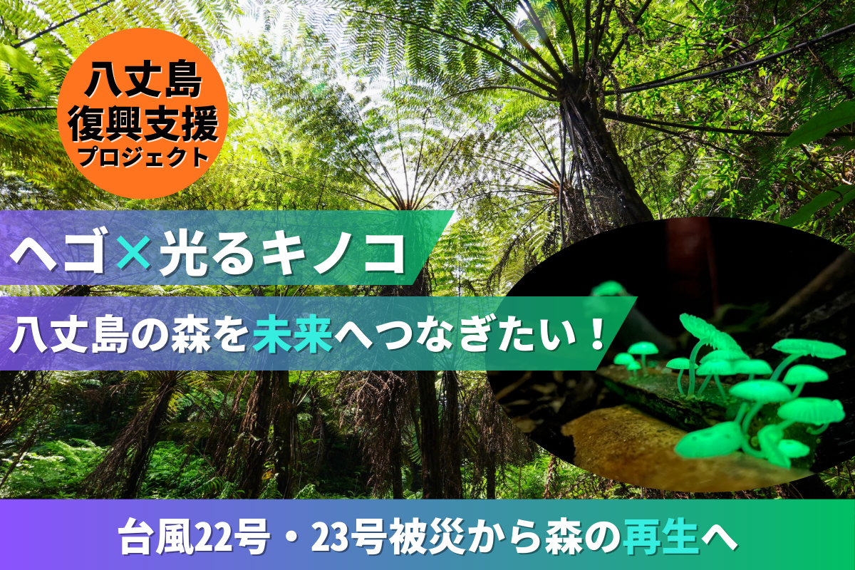 台風で被災した八丈島の「ヘゴの森遊歩道」と「光るキノコの森」を再生｜学びの場へ転換するプロジェクト始動