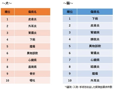 【ペット保険のアイペット】 ペットの傷病、犬は「皮膚炎」猫は「下痢」が最多 年齢ごとに注意すべき傷病とは！？ ～ペットの保険金請求が多い傷病のランキング2019～