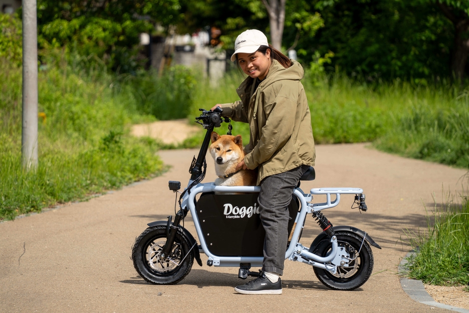 Dog in Doggie_Lite4