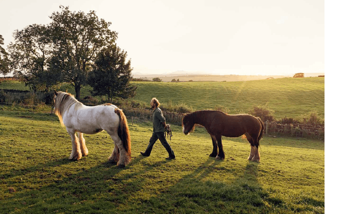 『NO SIGNAL 街を出て、大自然の中で暮らすことを選んだ 10人の生き方』中面
