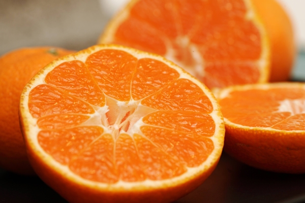 三ヶ日みかんの主力品種青島は大玉で高糖度