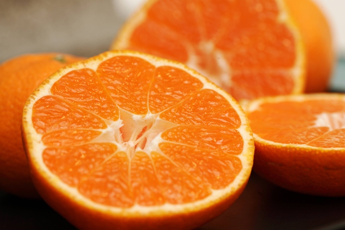 三ヶ日みかんの主力品種青島は大玉で高糖度