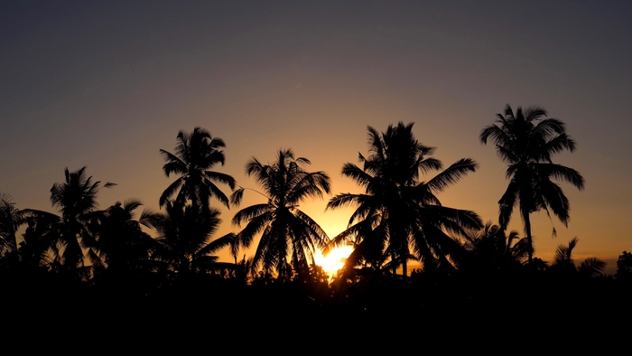 バリ島|ウブドの夕暮れ
