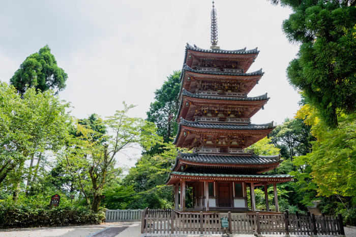 ▲海住山寺(木津川市)