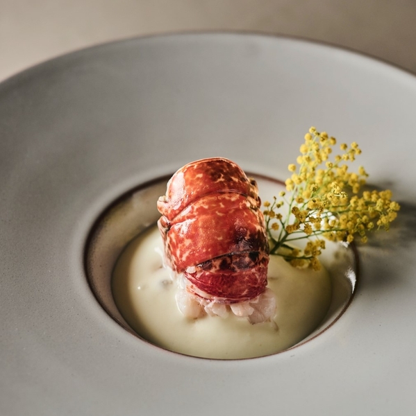 ディナーの一皿(イメージ)