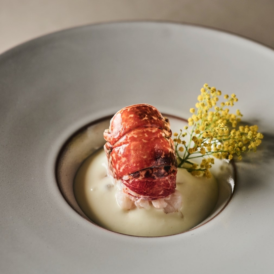 ディナーの一皿(イメージ)