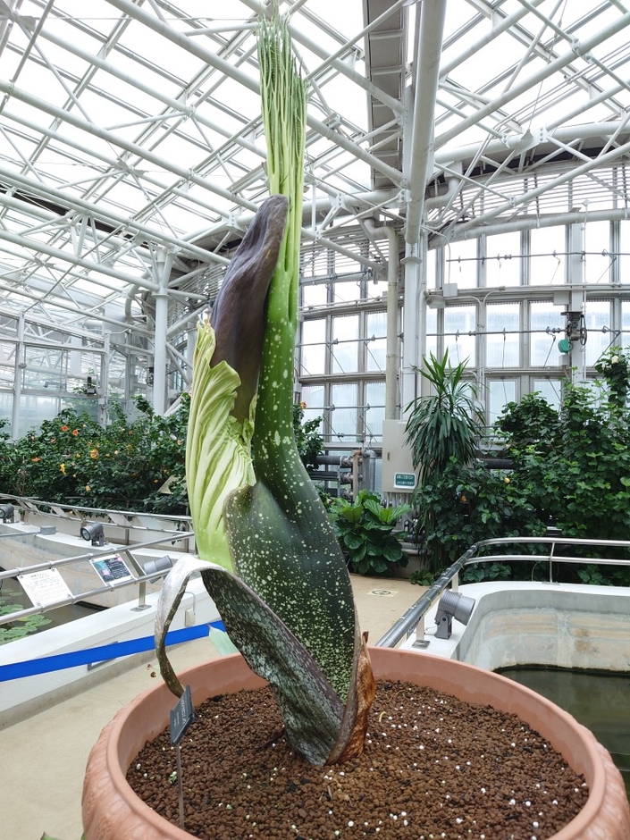 2022年12月6日撮影