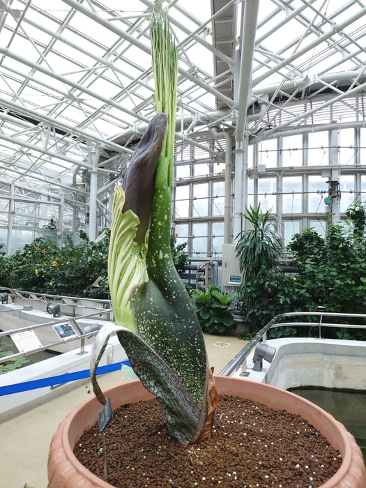 2022年12月6日撮影