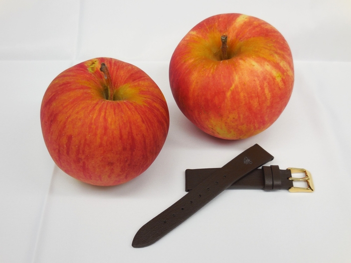 ベルトには植物由来のアップルレザーを採用