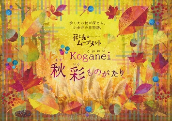 花と光のムーブメント　小金井公園　秋彩(あきいろ)ものがたり
2026年10月23日（金）～11月8日（日）開催