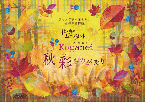 花と光のムーブメント　小金井公園　秋彩(あきいろ)ものがたり
2026年10月23日（金）～11月8日（日）開催