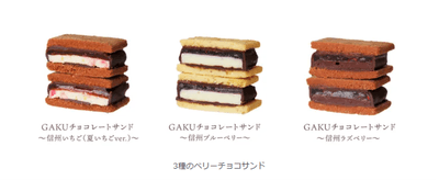 GAKUチョコレートサンド