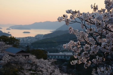 尾道の桜と風情ある港町、瀬戸内の春に包まれて&#8230;ベラビスタ境ガ浜「花見会席」