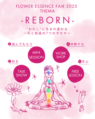 サブ画像