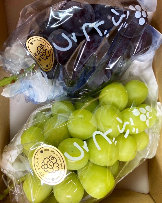 mixぶどう 高妻(たかつま)×シャインマスカット各1房箱詰 約1kg