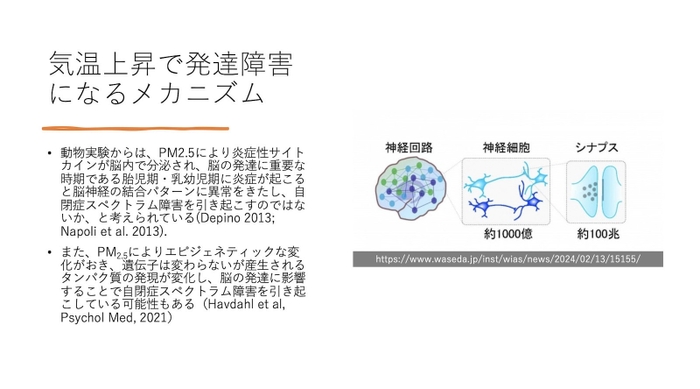 発達障害のメカニズム