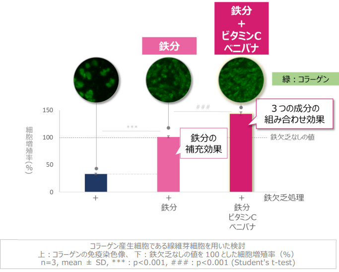 イメージ図　美しい肌のコラーゲン産生に必要な鉄分とビタミンC