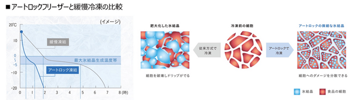 アートロックフリーザーと緩慢冷凍の比較