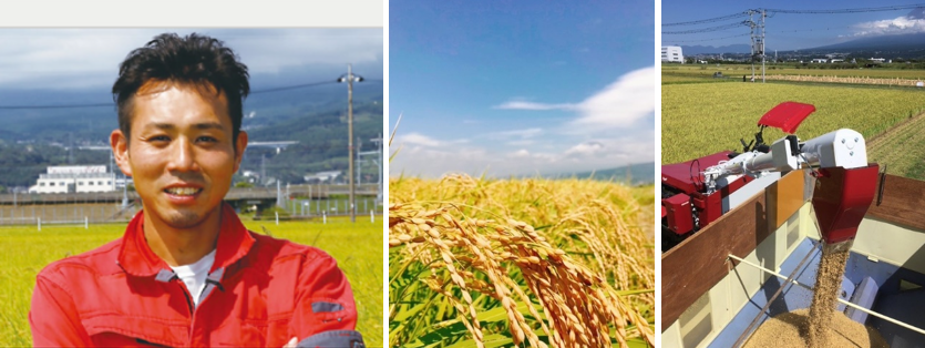 安藤農園 安藤さん