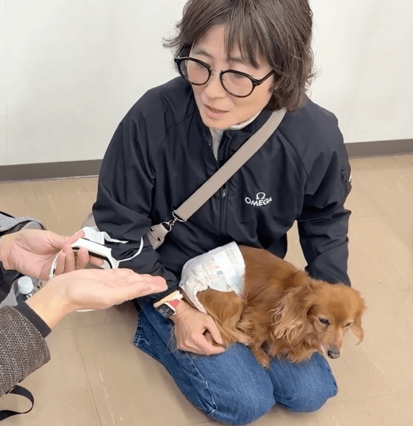 Vibone nezu pet for dogsに飼い主の声を録音する