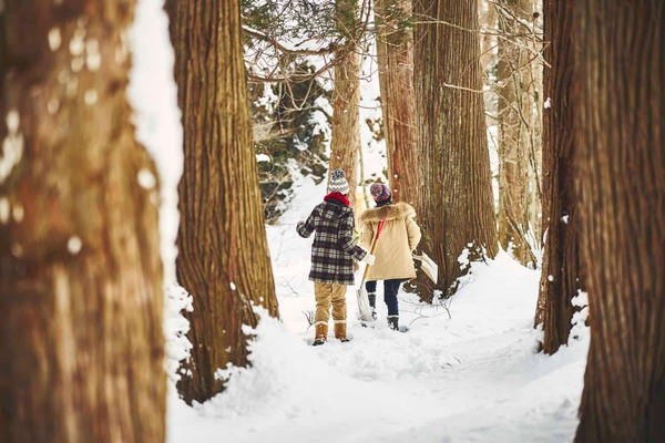 旧杉並木参道(*3)