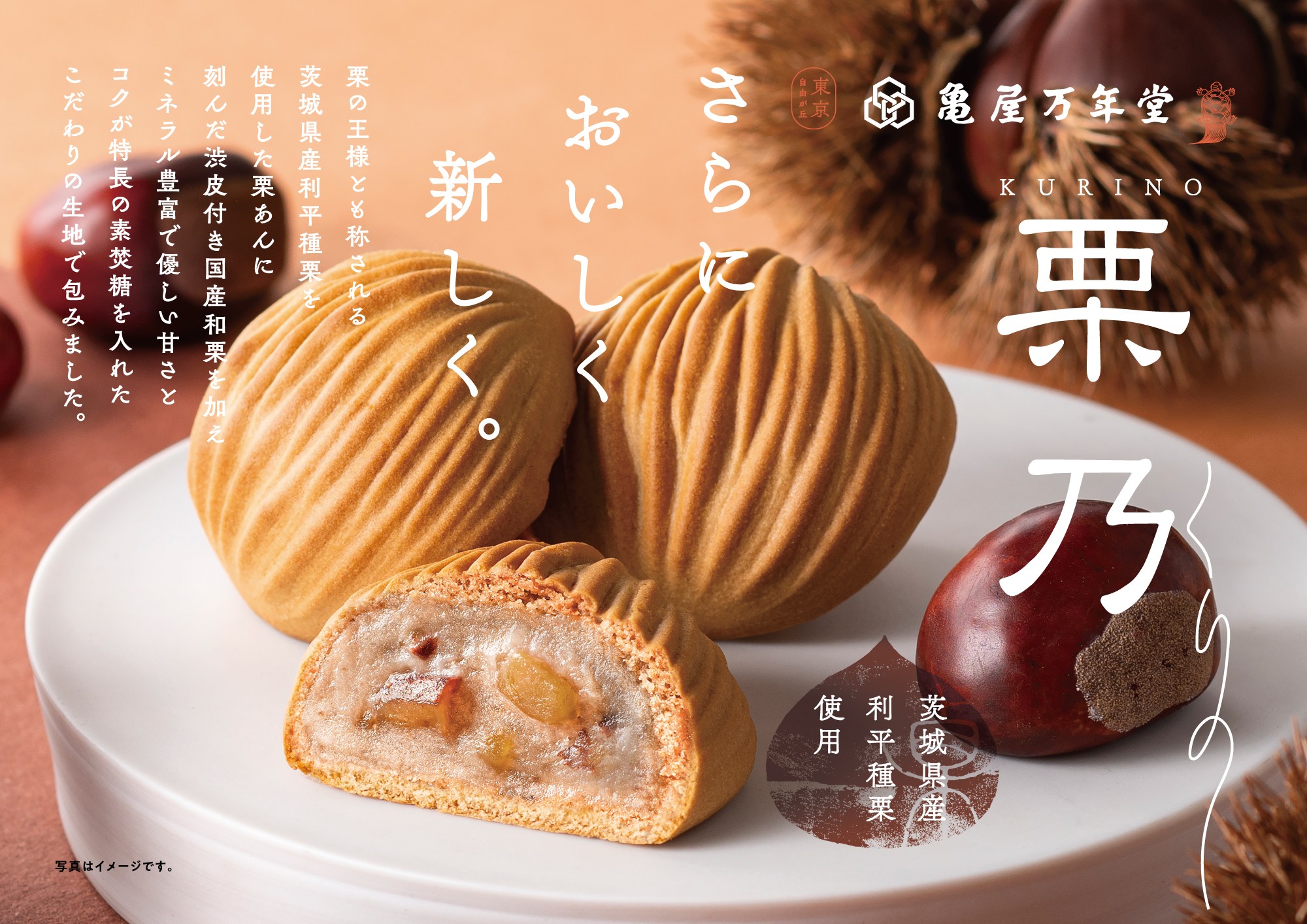 より味わい深く、栗々しい和菓子へ『栗乃(くりの)』リニューアル!