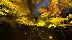 ～ 秋の夜空を彩る紅葉のライトアップ ～ 「もみじのトンネル」・二ノ瀬駅・貴船口駅の紅葉ライトアップ期間を延長します