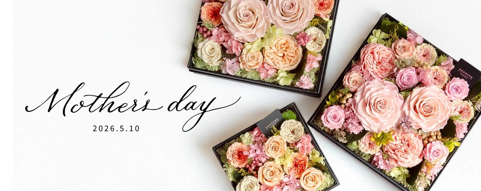 アモローサモデルノ 2026年母の日特集