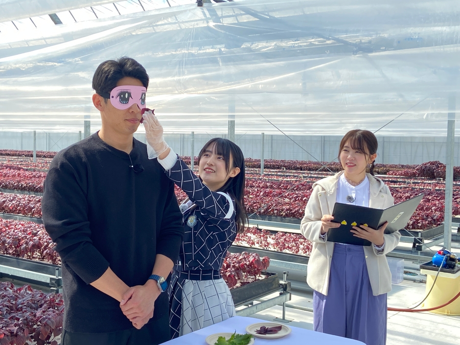 安部さん、利き「赤ジソ」?!