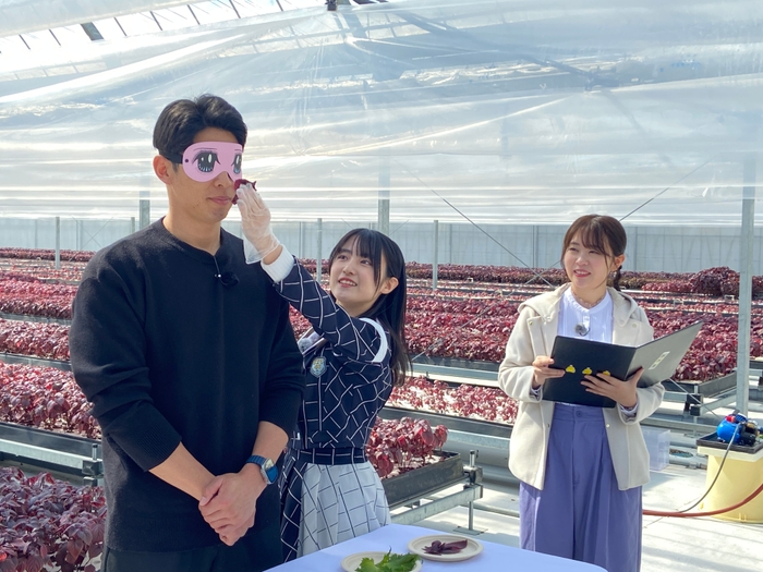 安部さん、利き「赤ジソ」?!