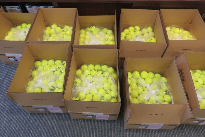 写真提供：テニススクール シルキーウインズ